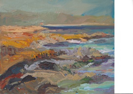 Cat. 160 Cabo San Antonio 81x65