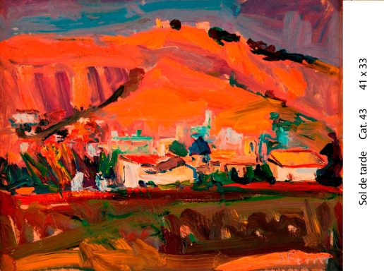 Cat. 43 sol de tarde  41x33