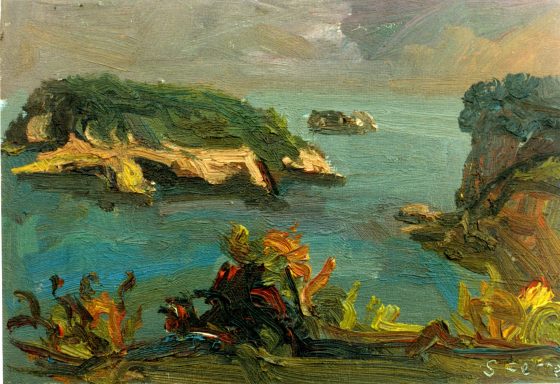 Cat. 131 Calas de Javea 33x22