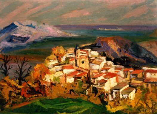 Cat. 246 Salaguera 81x60