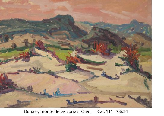 Cat. 111 dunas y monte las zorras 73x54